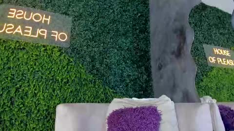 Snapshot of abby_me chatting on 02-13-25, 11:50 A B B Y online show from 02-13-25, 11:50