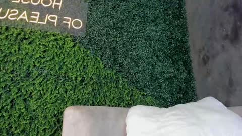 Snapshot of abby_me chatting on 02-19-25, 06:21 A B B Y online show from 02-19-25, 06:21