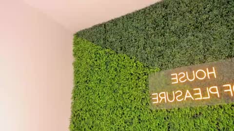 Snapshot of abby_me chatting on 03-08-25, 12:09 A B B Y online show from 03-08-25, 12:09