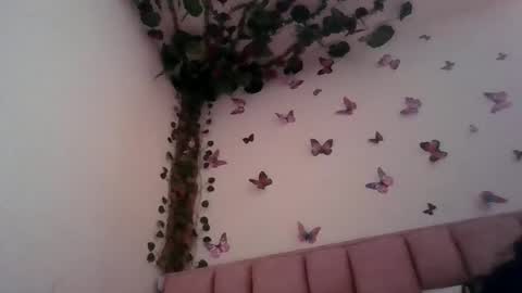 abby_moss_2 online show from 06-12-26, 12:48