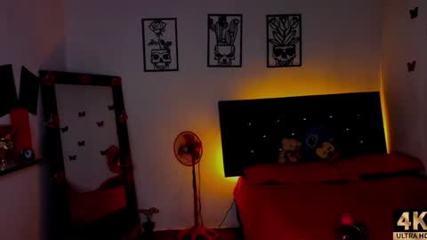 Abby online show from 12-02-24, 04:53