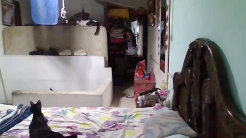 Snapshot of abbyasher chatting on 01-26-25, 11:50 Abby online show from 01-26-25, 11:50