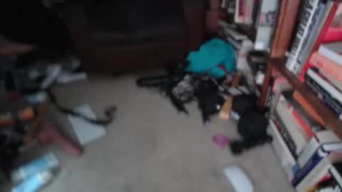 Snapshot of acacias2022 chatting on 03-01-26, 01:24 aCACiAs2022 online show from 03-01-26, 01:24