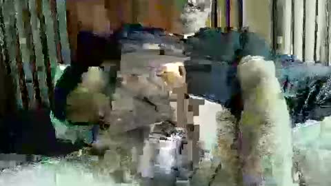 ace1man online show from 10-11-25, 01:53