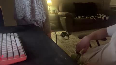 Remi and Ace online show from 04-26-26, 03:37