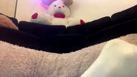 ENIGMA TZX5114 online show from 02-18-25, 12:28