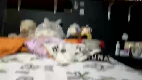 Snapshot of adam_and_abby_ chatting on 02-28-25, 05:37 adam and abby online show from 02-28-25, 05:37