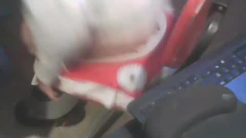 adamsny online show from 01-20-25, 07:04