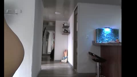 eva online show from 02-10-26, 04:00