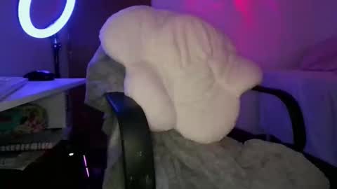 Adara online show from 02-05-26, 09:08