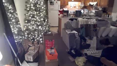 adorable22 online show from 12-20-24, 10:22