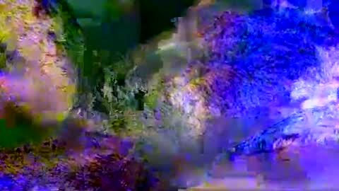 Snapshot of aestheticpleasure chatting on 05-19-26, 11:05 People call me AP online show from 05-19-26, 11:05