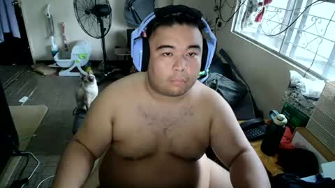 AFilamBear online show from 08-01-26, 11:25
