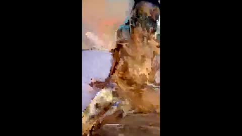 Wendy online show from 04-27-26, 06:06