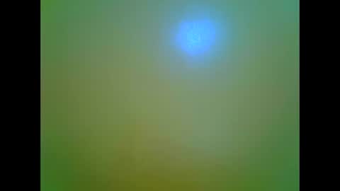 Snapshot of afrikana005 chatting on 04-05-26, 03:42 afrikana005 online show from 04-05-26, 03:42