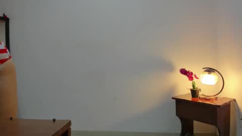 Snapshot of afrodita3123 chatting on 03-04-25, 12:44 Lorena online show from 03-04-25, 12:44