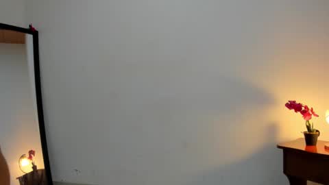 Snapshot of afrodita3123 chatting on 03-06-25, 01:03 Lorena online show from 03-06-25, 01:03