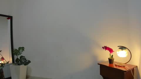 Snapshot of afrodita3123 chatting on 12-03-25, 01:20 Lorena online show from 12-03-25, 01:20