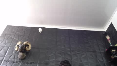  Miss Agata  online show from 02-13-26, 05:20