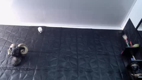  Miss Agata  online show from 03-07-26, 06:49