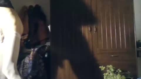 Snapshot of aguahot2 chatting on 11-22-25, 11:04 agua online show from 11-22-25, 11:04