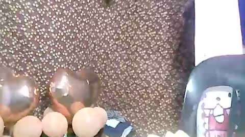 rosie online show from 02-03-25, 03:17