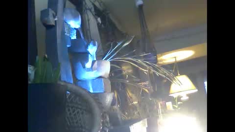 ajstevens326 online show from 11-03-25, 11:11