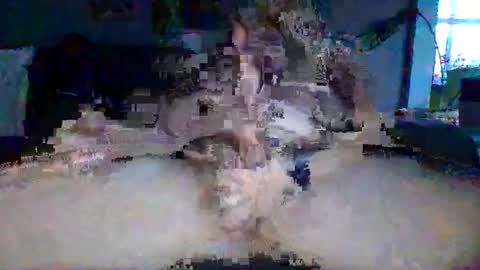 Snapshot of akpchi1984 chatting on 03-16-26, 11:42 akpchi1984 online show from 03-16-26, 11:42