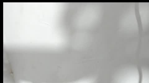 alahia66 online show from 04-01-26, 03:40