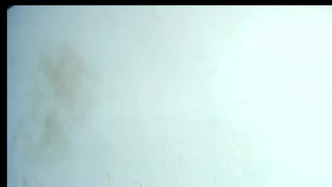 Snapshot of alahia66 chatting on 04-21-26, 02:56 alahia66 online show from 04-21-26, 02:56
