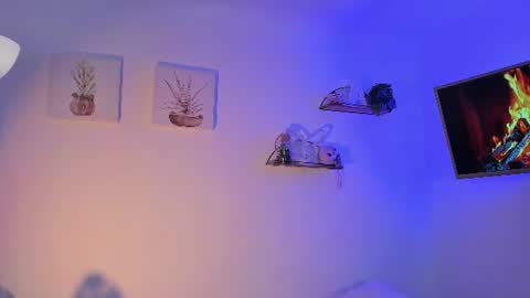   online show from 06-16-26, 11:13