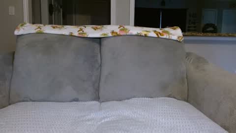 Snapshot of alannarack chatting on 02-26-25, 02:14 Alanna Rack online show from 02-26-25, 02:14