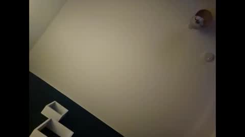 Snapshot of alannovak8 chatting on 11-20-25, 12:00 alannovak8 online show from 11-20-25, 12:00