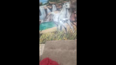 Snapshot of albina6543 chatting on 02-09-26, 08:40 albina online show from 02-09-26, 08:40