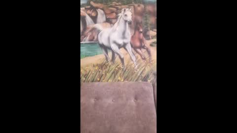 Snapshot of albina6543 chatting on 02-16-26, 07:48 albina online show from 02-16-26, 07:48