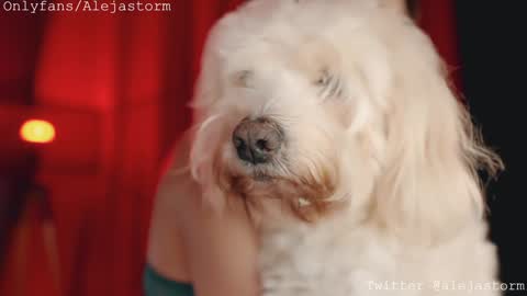 Snapshot of alejastorm chatting on 02-26-26, 01:15 Alejandra online show from 02-26-26, 01:15