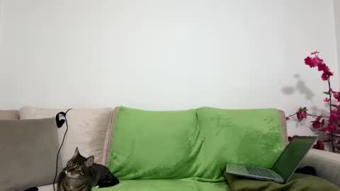 Snapshot of alejo__twinkboy chatting on 01-30-25, 08:11 alejo__twinkboy online show from 01-30-25, 08:11