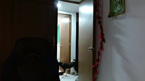 Snapshot of alejo_hot23 chatting on 06-06-26, 06:45 David online show from 06-06-26, 06:45