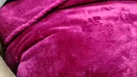 alessandrodmv online show from 06-09-26, 10:05