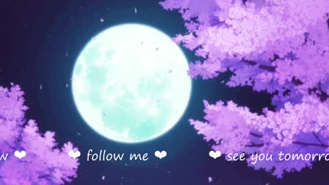     online show from 12-19-24, 02:23