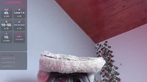 Snapshot of alexa_cutee chatting on 01-10-25, 08:51 Dani online show from 01-10-25, 08:51