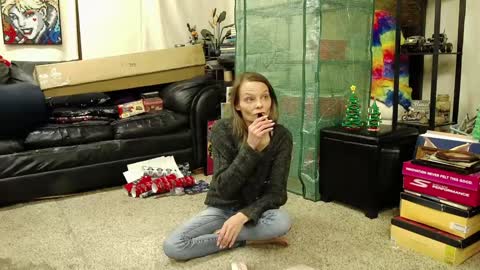Snapshot of alexagwonderland chatting on 12-26-24, 04:32 Alexa GW online show from 12-26-24, 04:32