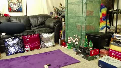 Snapshot of alexagwonderland chatting on 02-16-25, 04:09 Alexa GW online show from 02-16-25, 04:09
