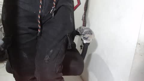 Alexamdergal online show from 03-12-26, 12:17