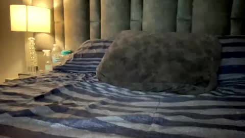 alexander grey online show from 03-12-25, 11:44