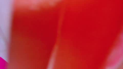 ALEXANDRA online show from 02-04-25, 08:02