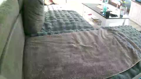 Doggystyle online show from 01-10-26, 10:17