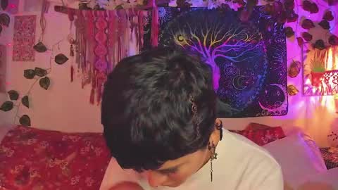 Alex online show from 05-13-26, 04:37