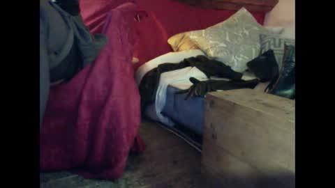 alexischat online show from 09-25-25, 04:16