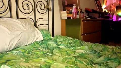 Snapshot of alexrhodesxxx chatting on 12-22-24, 09:31 Alex online show from 12-22-24, 09:31